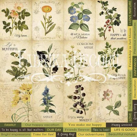 kartochki-botany-summer-angl.