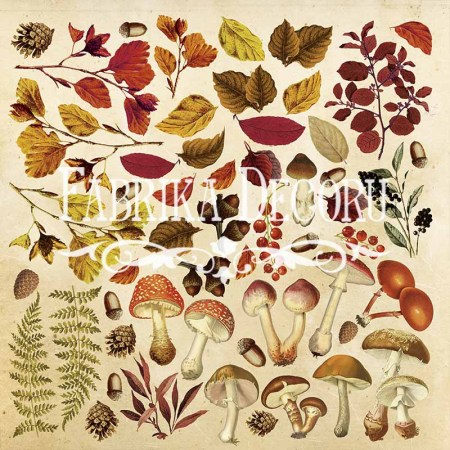 list-dlya-vyrezaniya-1-botany-autumn