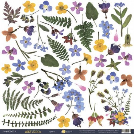 list-odnostoronnej-bumagi-30x30-ot-scrapmir-czvety-iz-kollekczii-herbarium-wild-summer-10sht