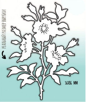 mmc-c0044-350x350