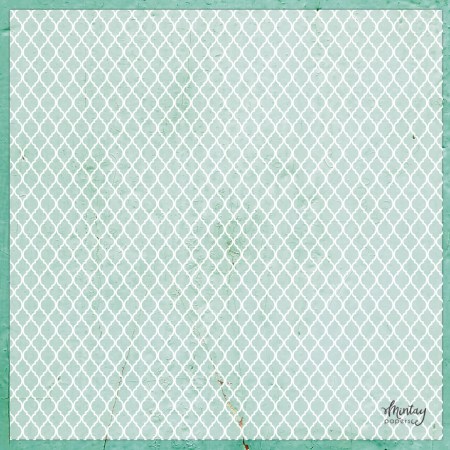 mt-vel-03