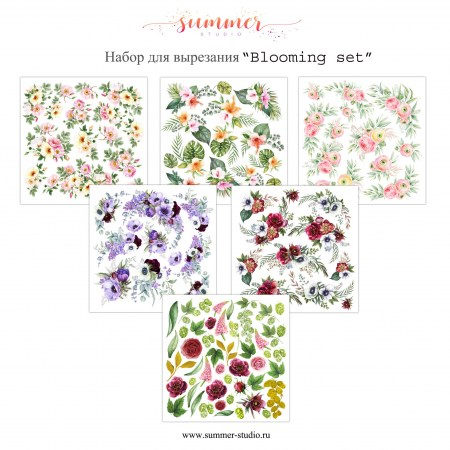 nabor-20-bloomig-set
