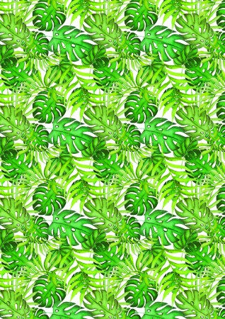 overlej-green-wild-tropics