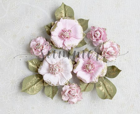serenade-of-rose