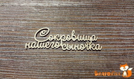 sokrovishha-nashego-synochka-11