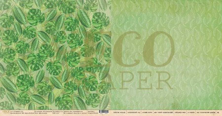 tropic100-02