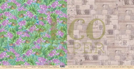 tropic100-05