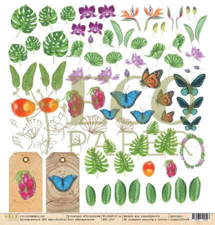 tropic100-06