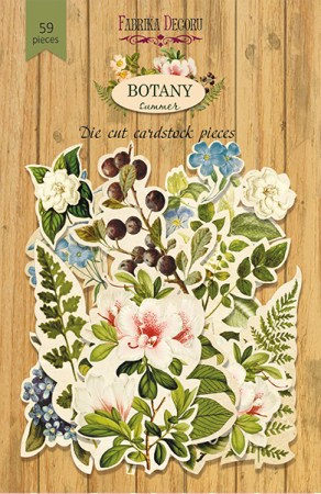 _vyr_2298summer-botany-fdsdc-04018